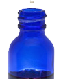 bluebottle